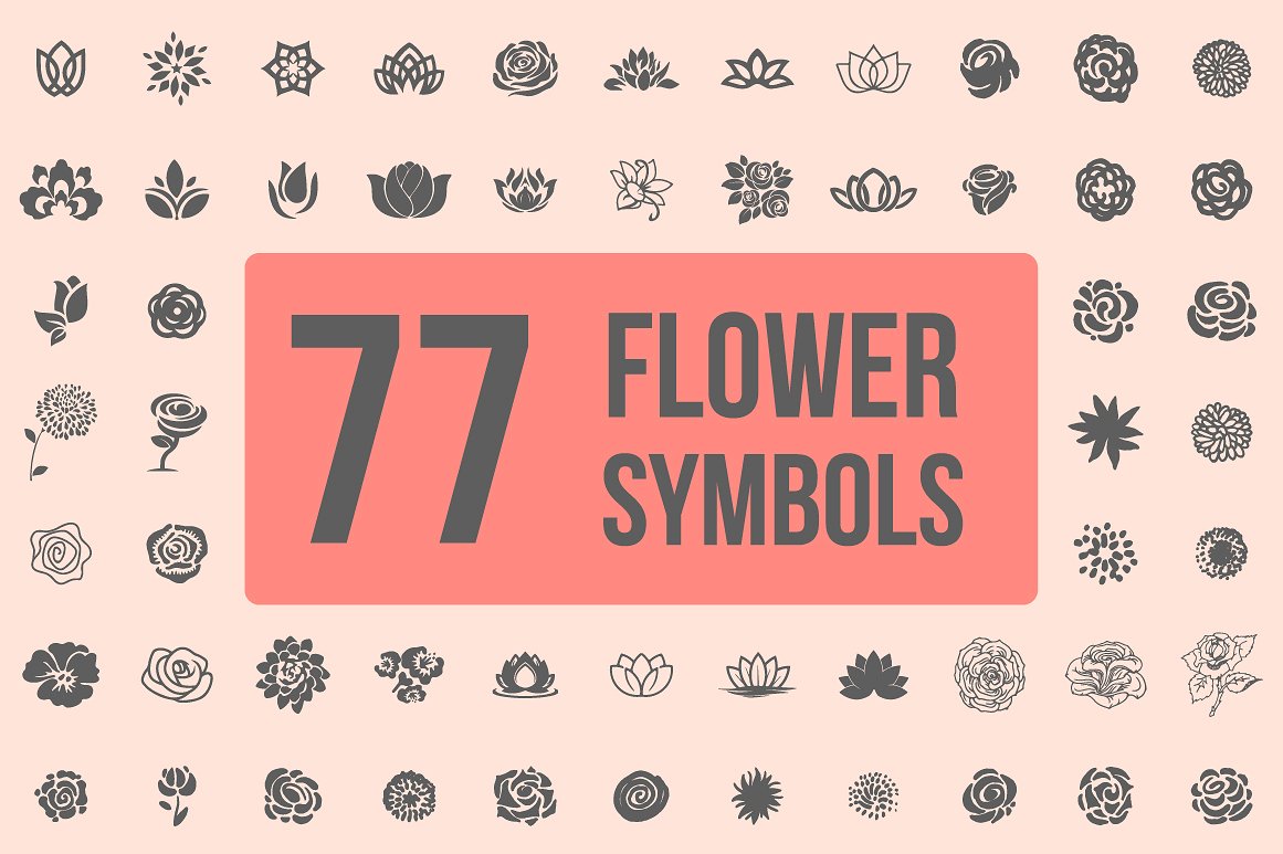 Pack of 77 decorative flower symbols by Design Bundles