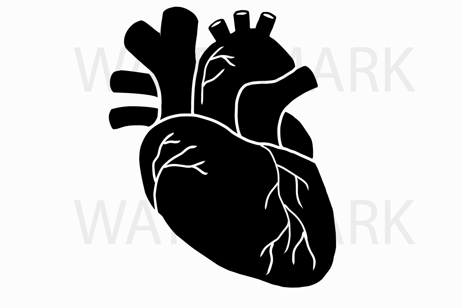 Download Human Real Heart in Black - SVG/JPG/PNG | Design Bundles