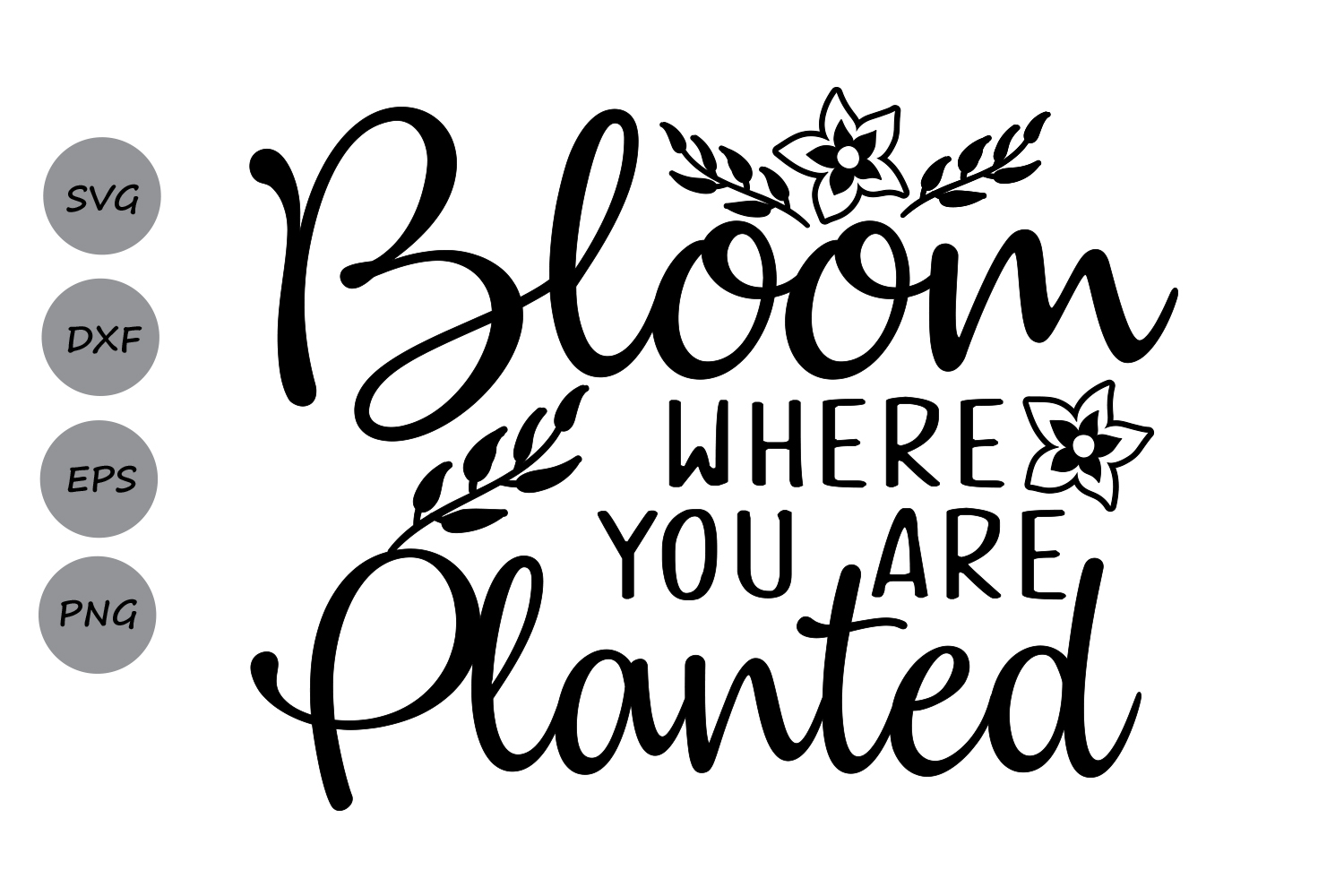 Bloom where you are planted SVG, Easter | Design Bundles