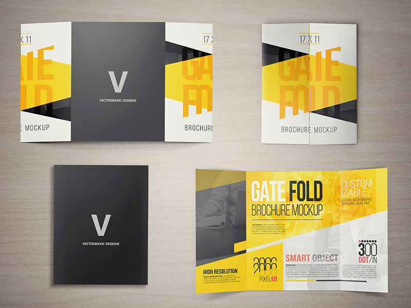 5 fold brochure