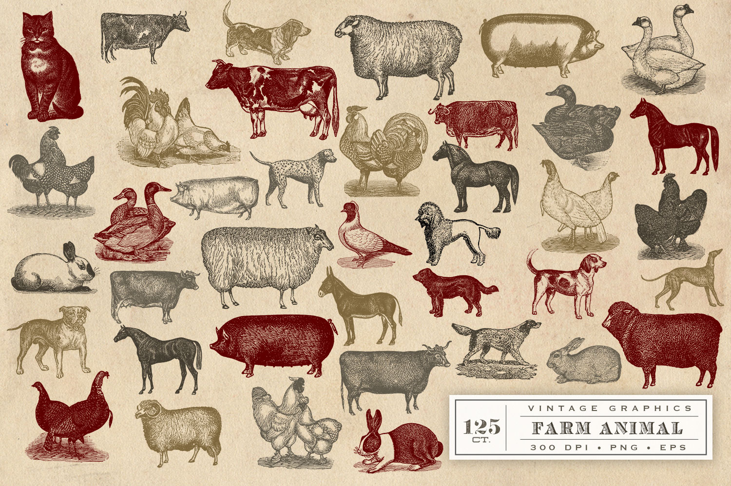 Vintage Farm Animal Vector Graphics by Design Bundles