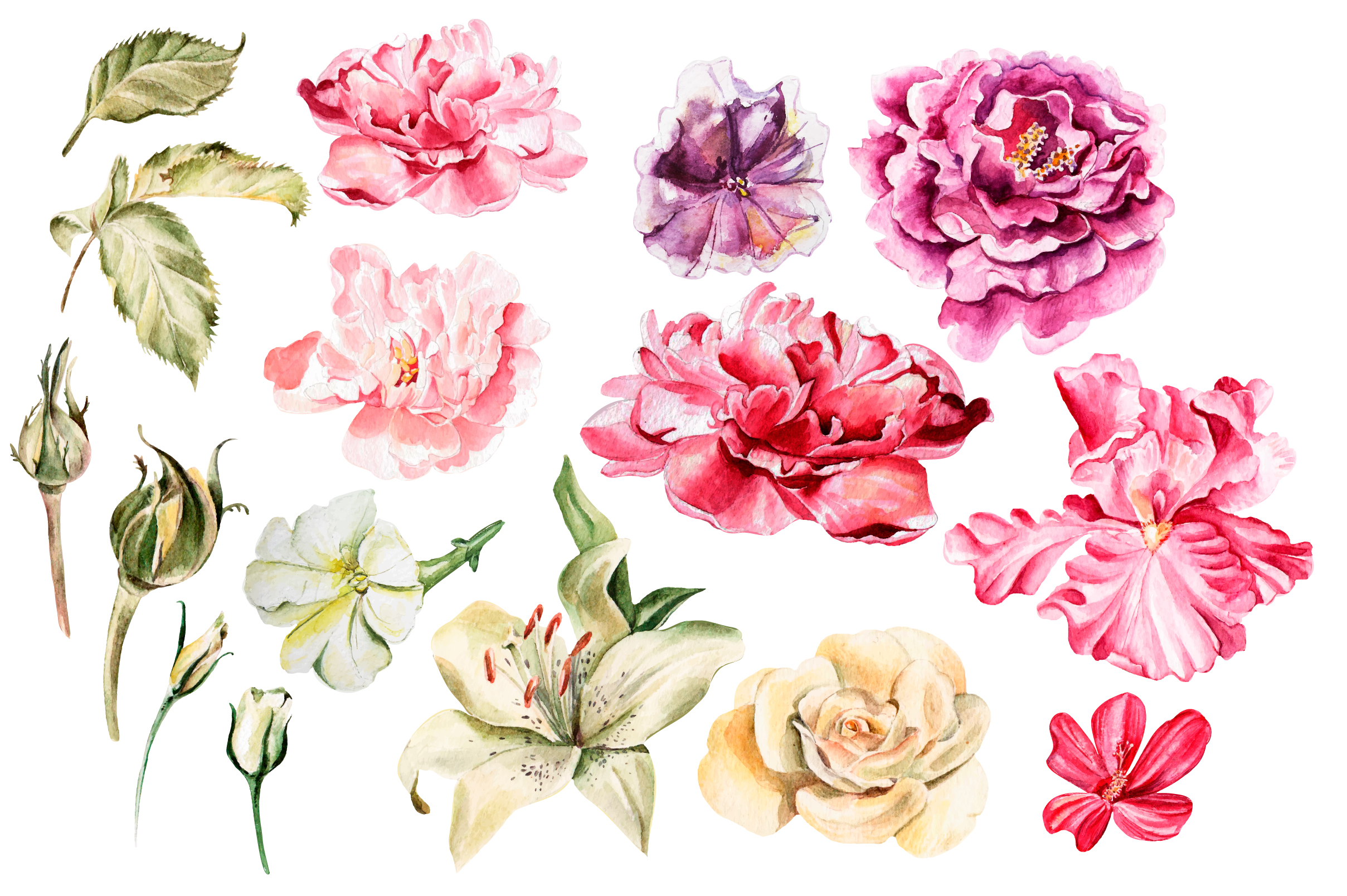 Beautiful watercolor flowers by Knopazy | Design Bundles