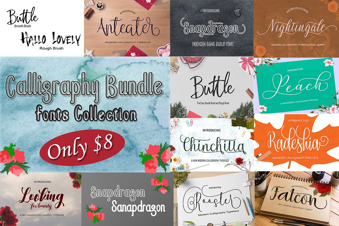 Calligraphy Font Bundles example image