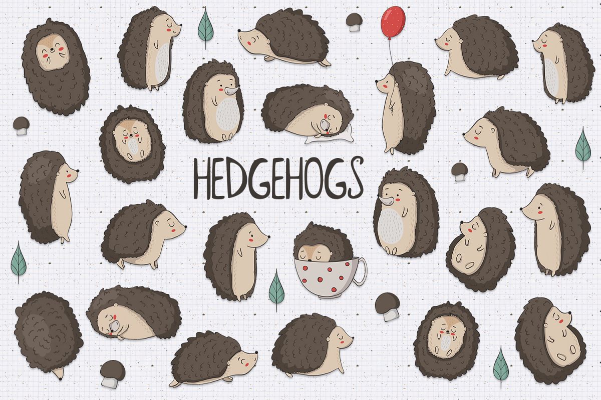 Hedgehogs example image
