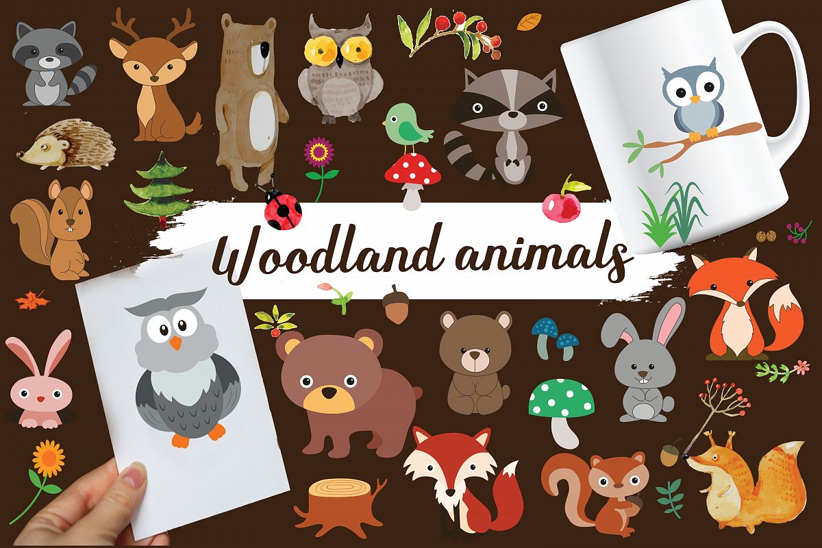 wood land animals,woodland,animals,forest animals,forest,animals,animal,fox,owl,bear example image