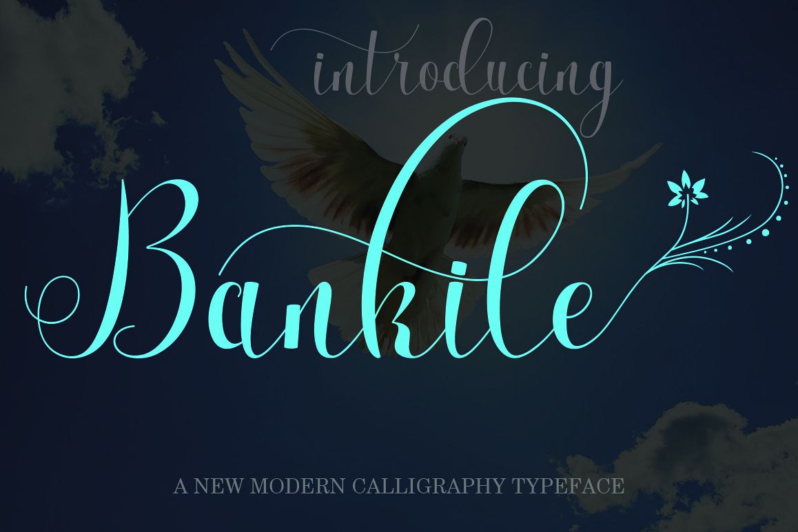 Bankile example image