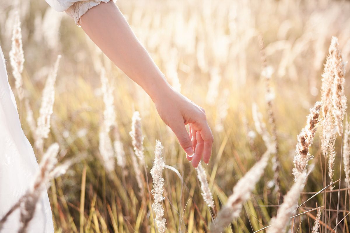Fields of Gold example image