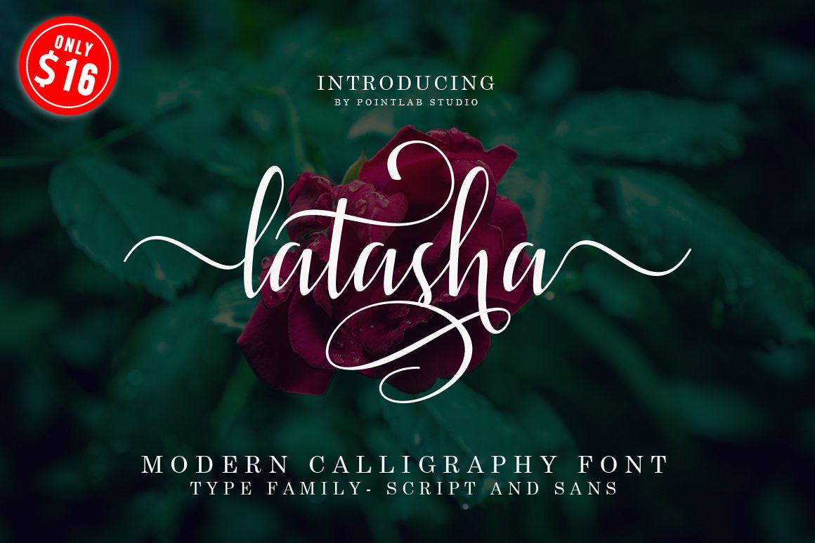 Latasha Font Family - 6 Font example image