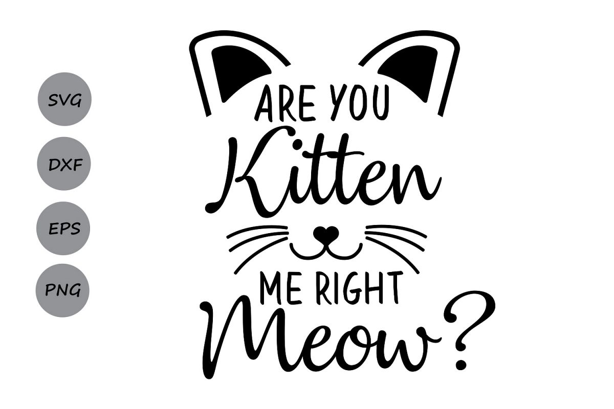 Download Are you kitten me right meow? SVG, cat | Design Bundles
