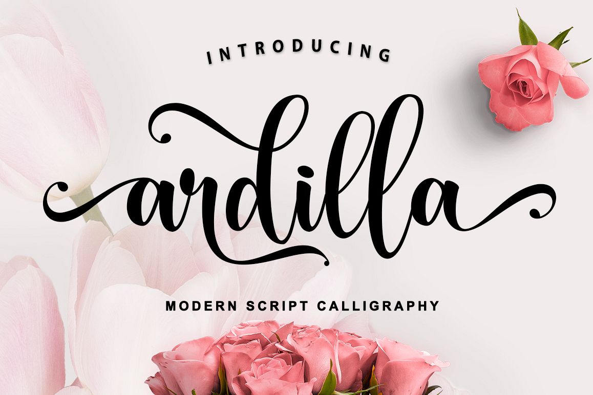 Ardilla example image
