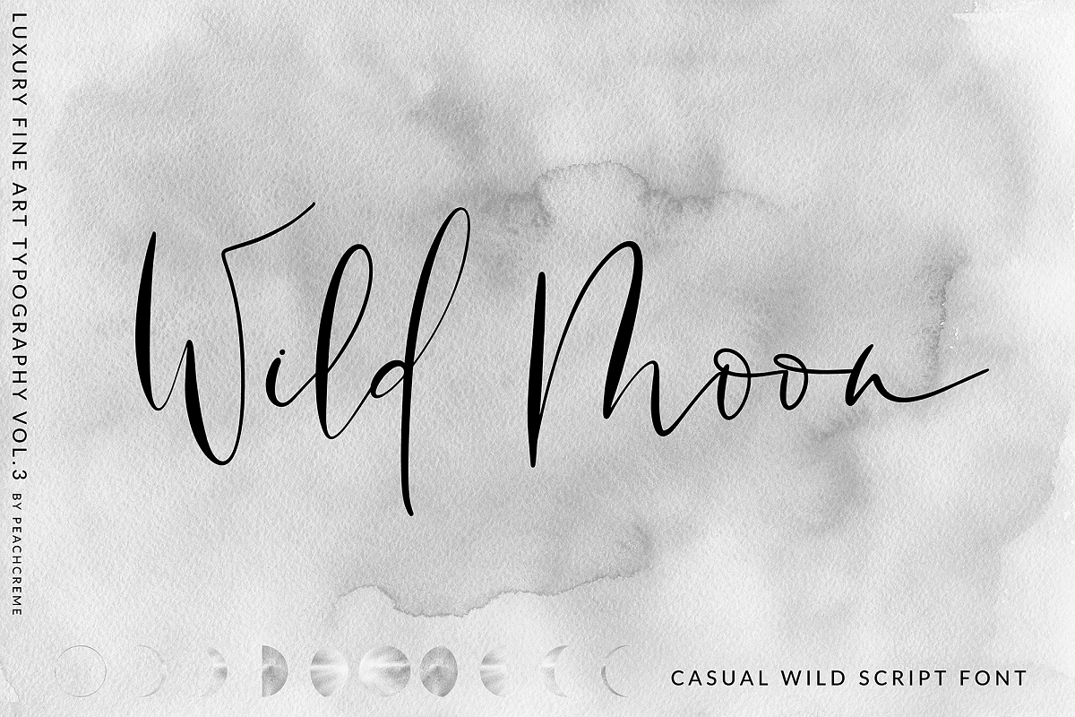 Wild Moon - Casual Script Font example image