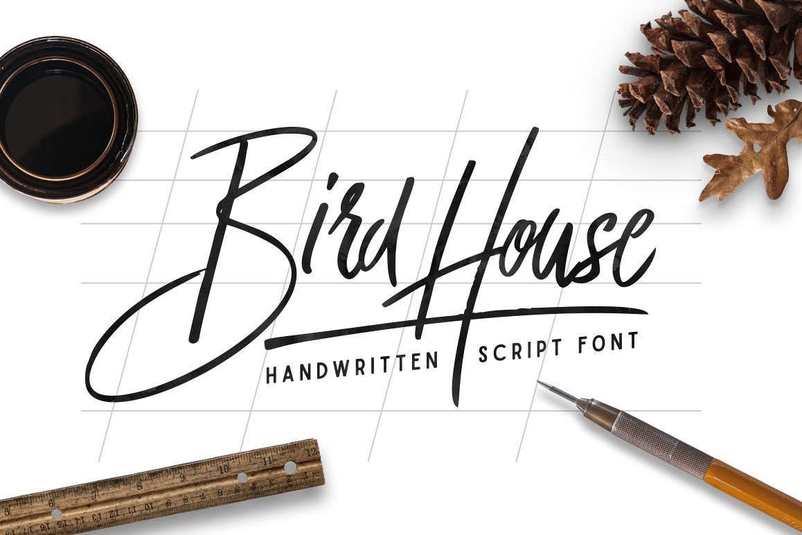Bird House Script example image