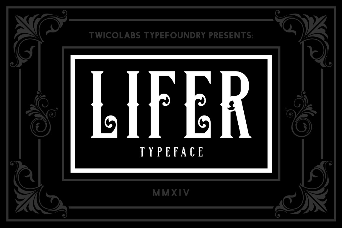 Lifer example image