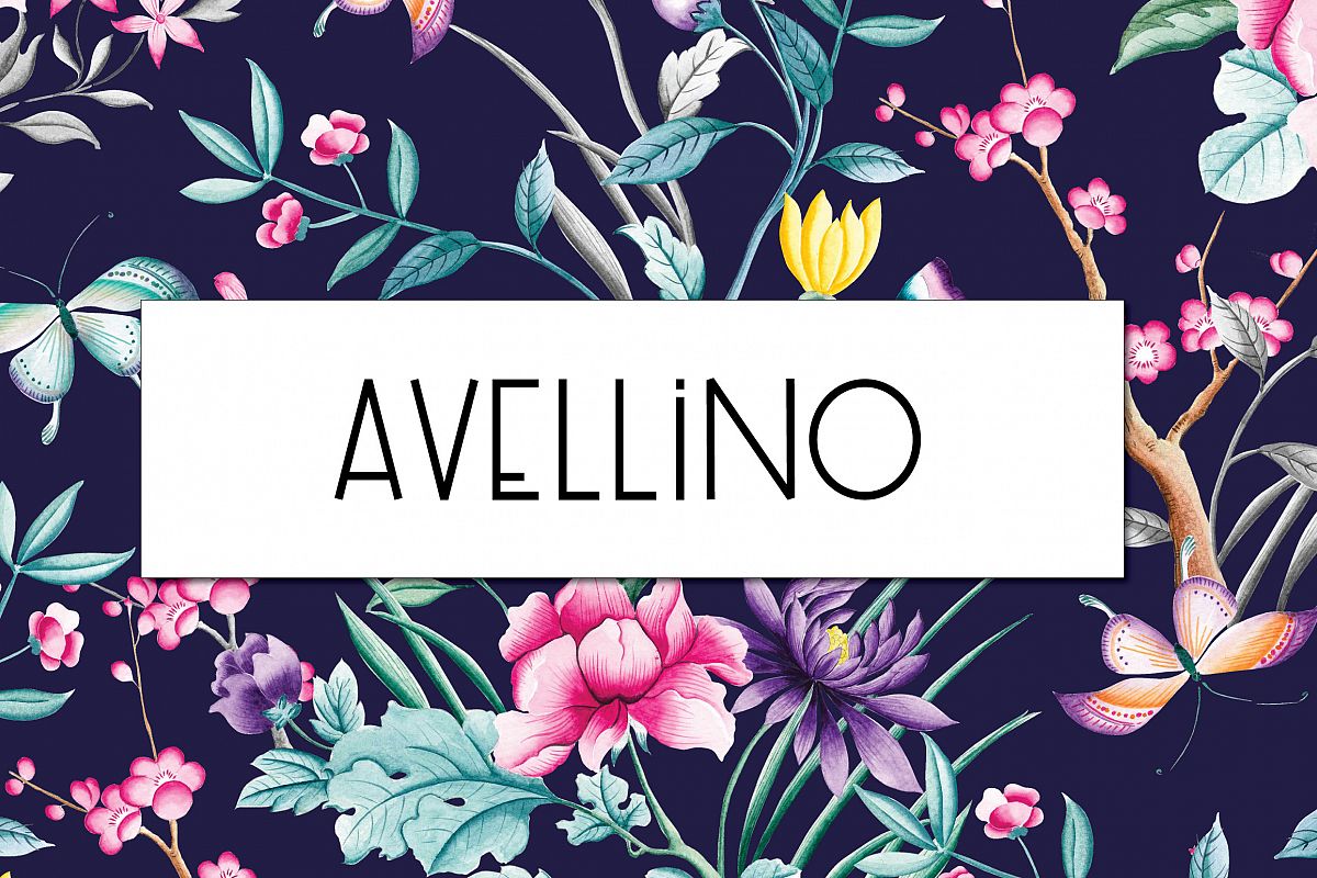 Avellino | Multilingual Sans Serif example image