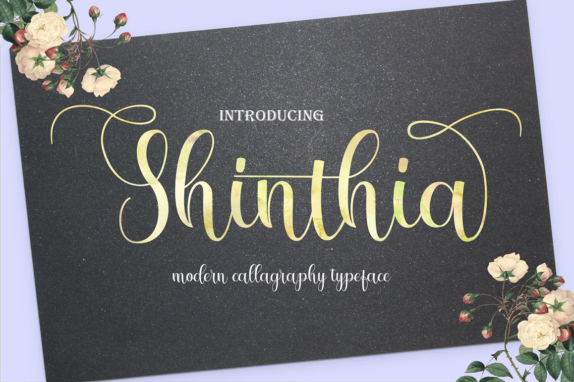 Shinthia FontDou example image