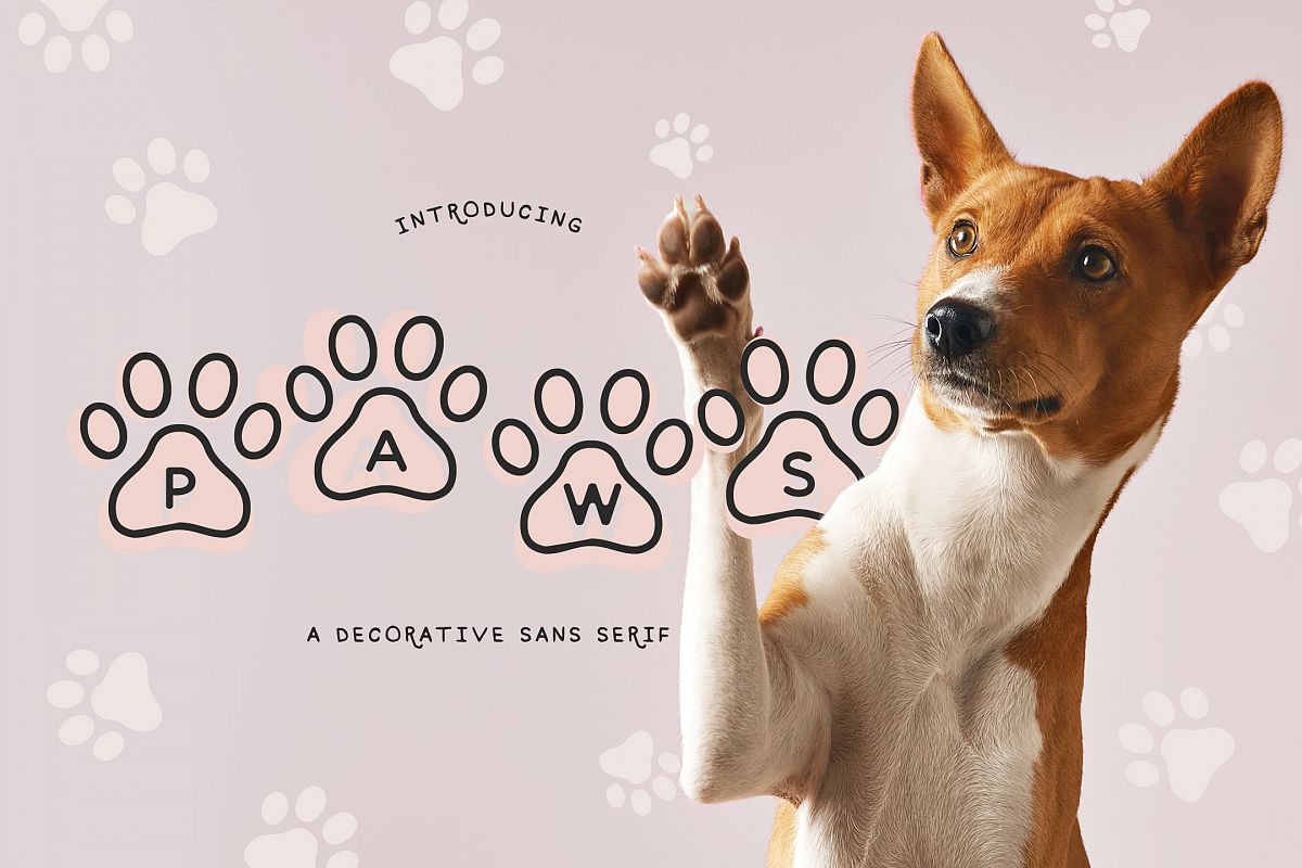 Paws example image