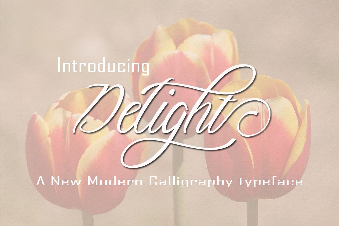 Delight Script example image