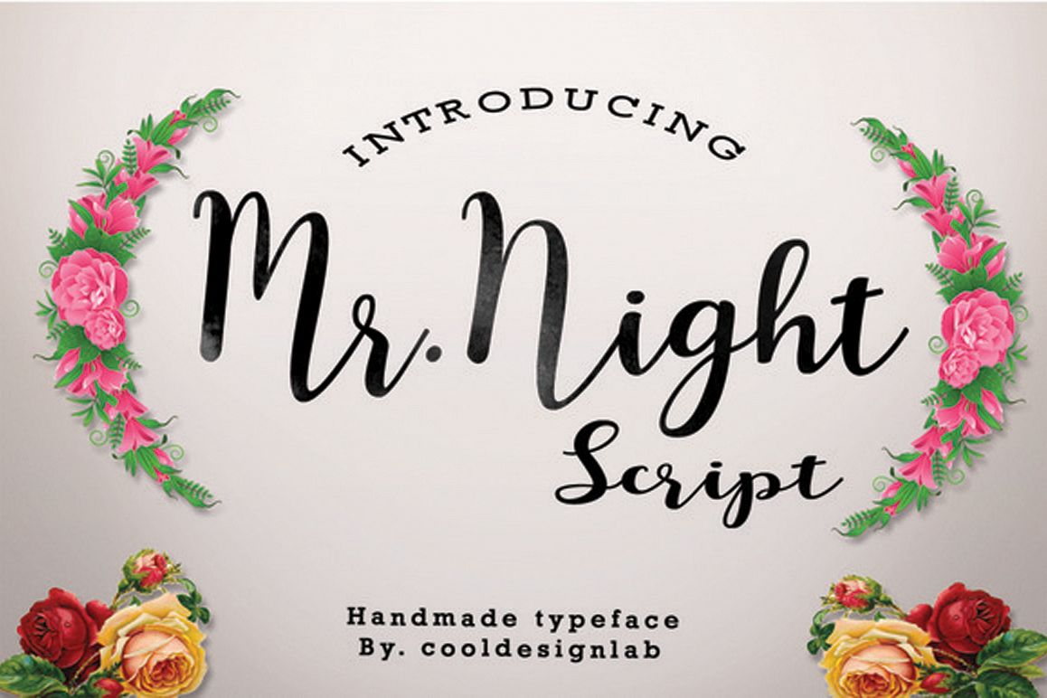 Mr.Night script example image