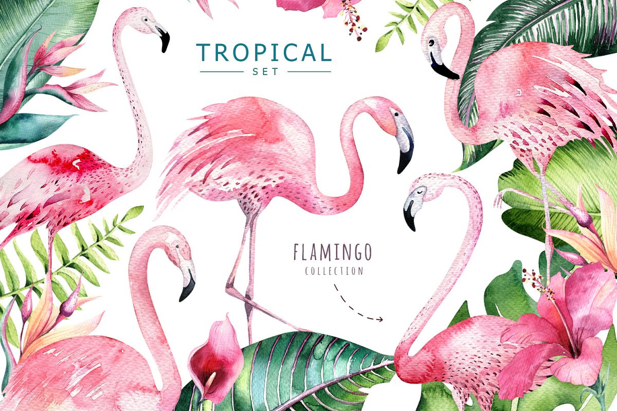Tropical set II. Flamingo collection example image