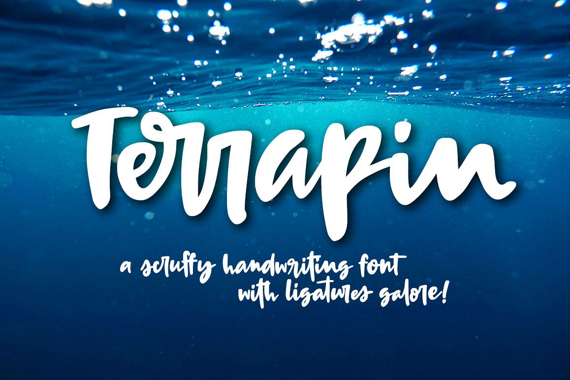 Terrapin: a scrappy handwriting font! example image
