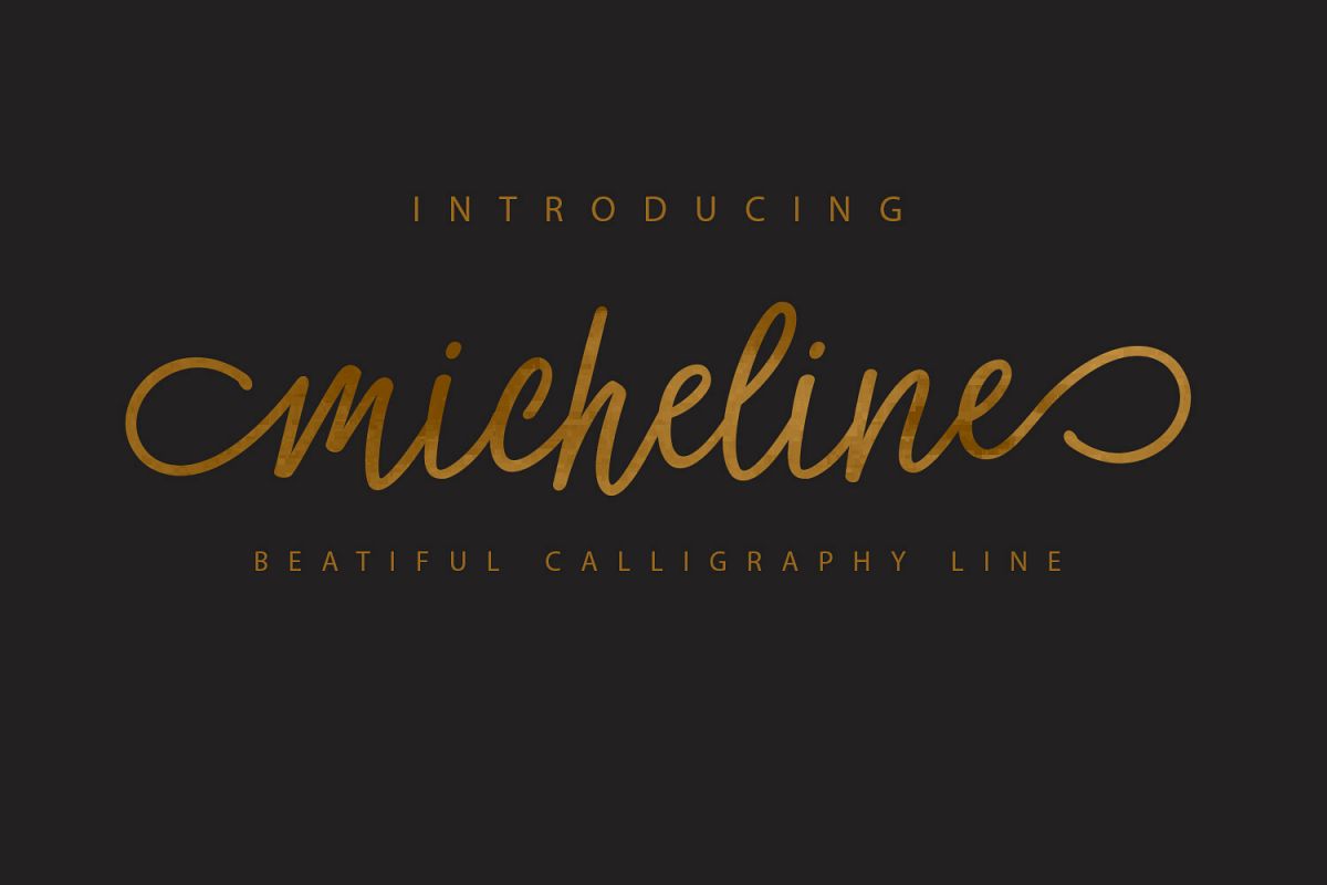 Micheline example image