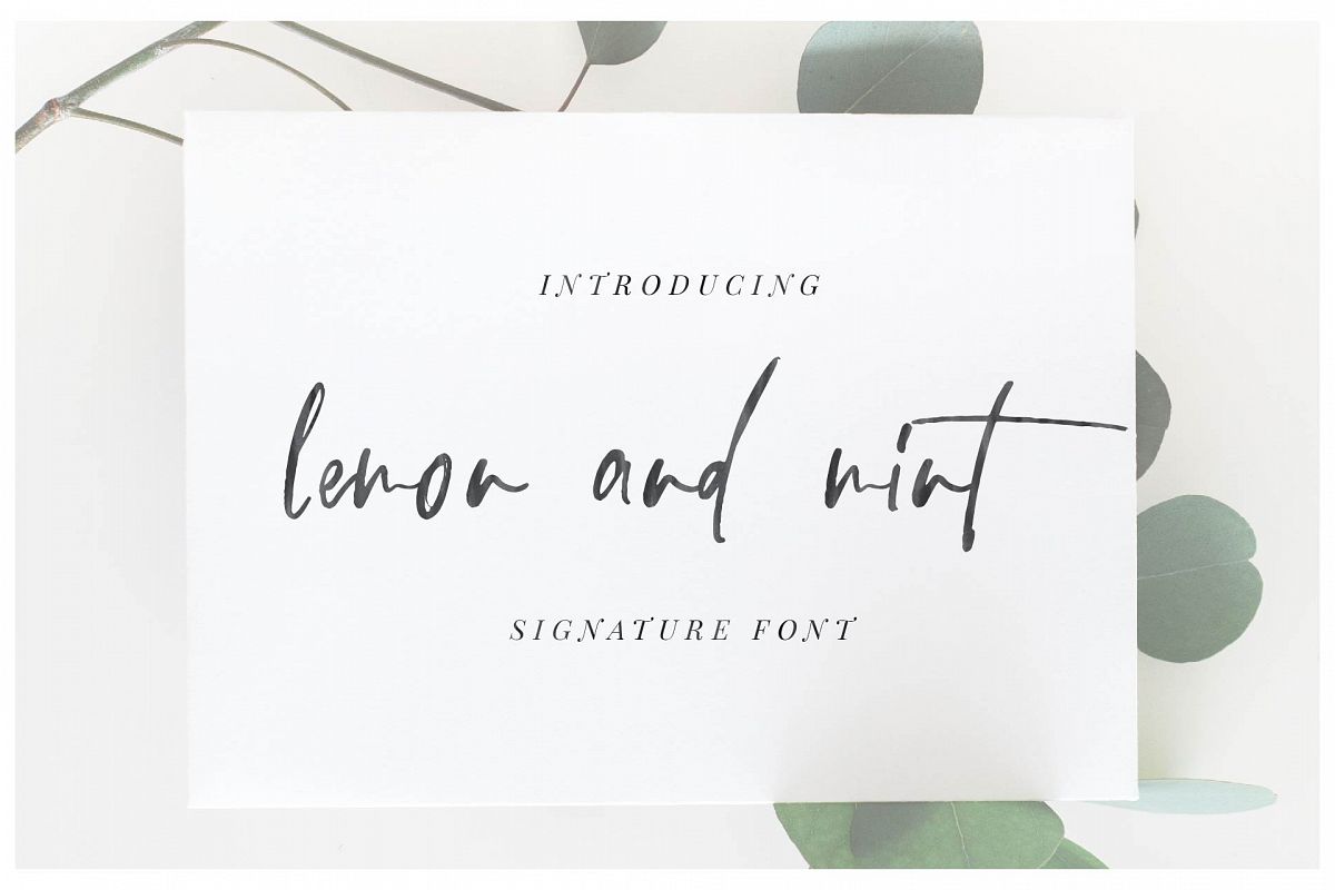 lemon and mint script example image