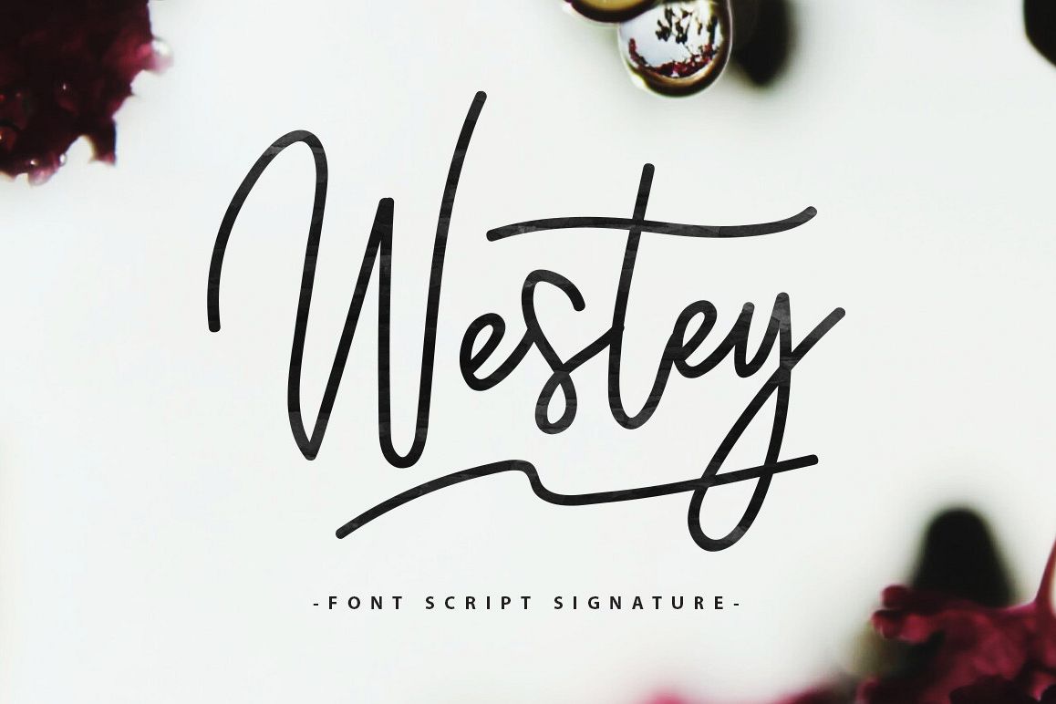 Westey 45% OFF example image