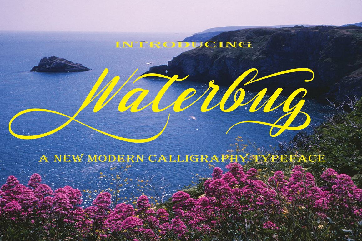 Waterbug example image