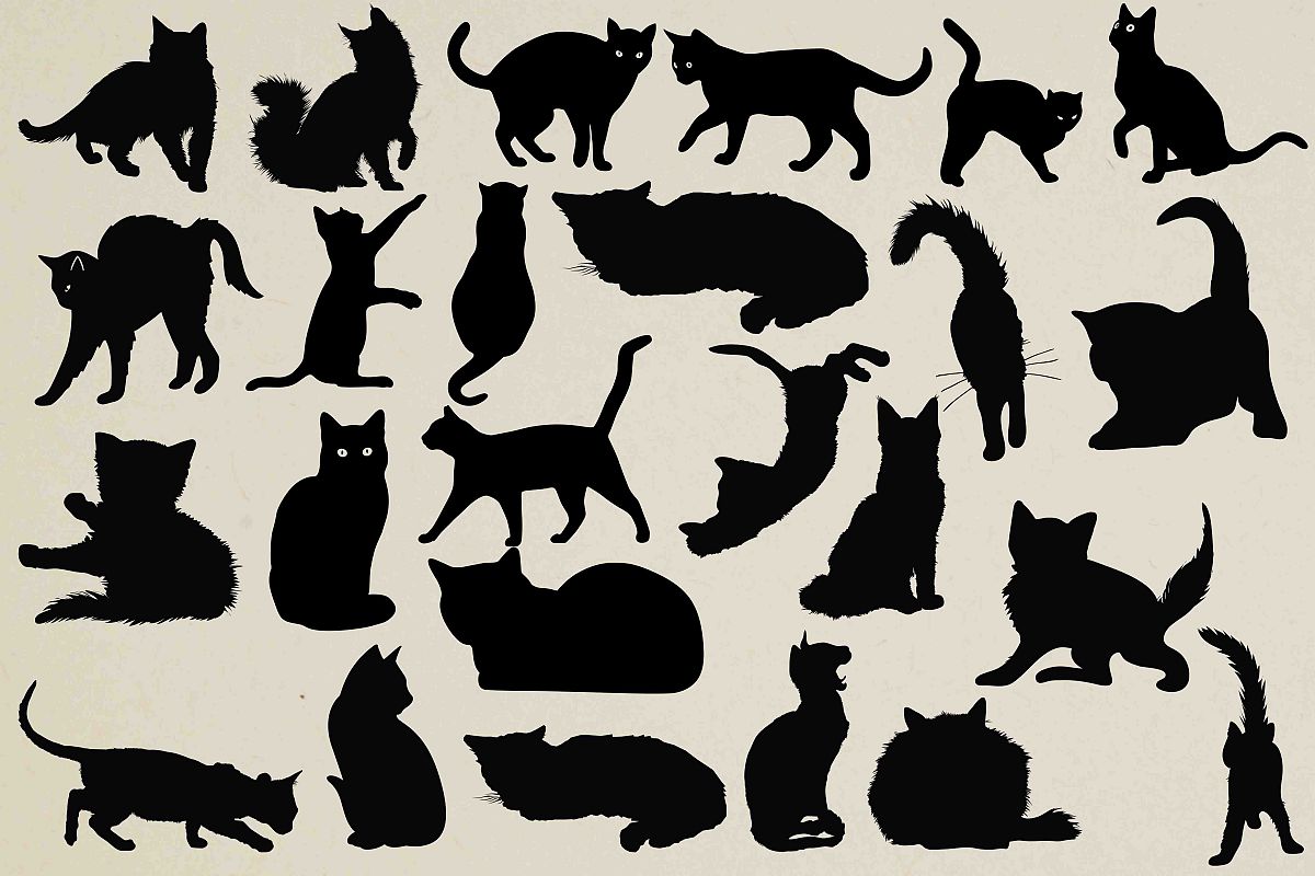 Cats Silhouettes example image