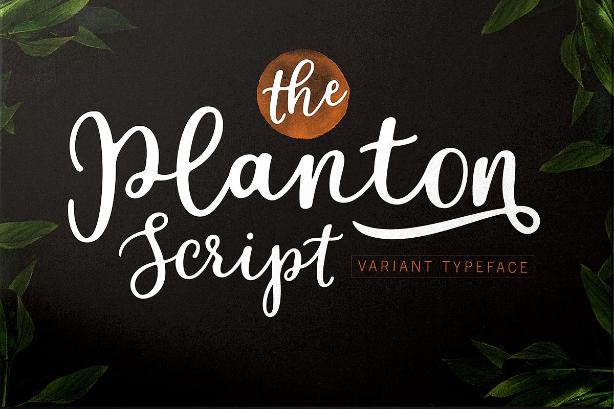 Planton Script example image