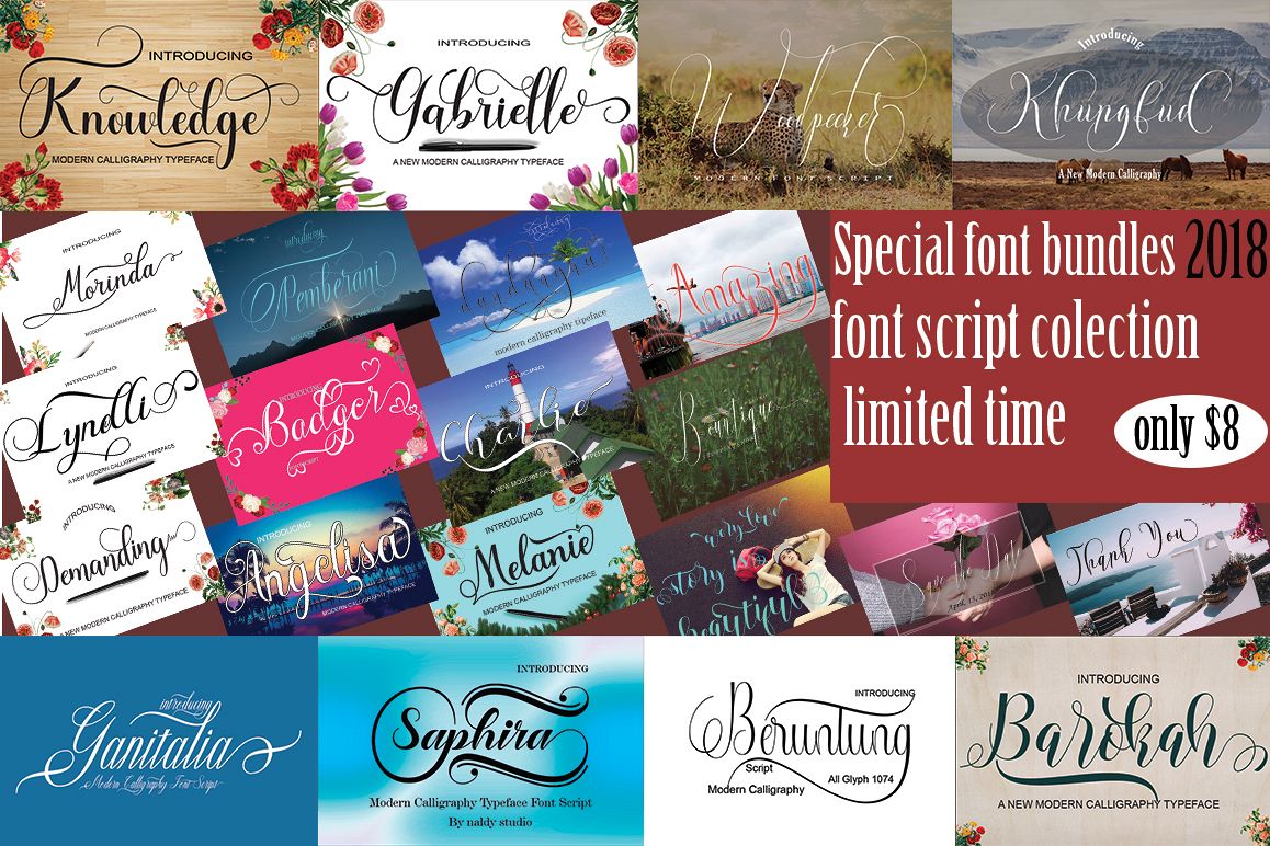 SPECIAL FONTS BUNDLES example image