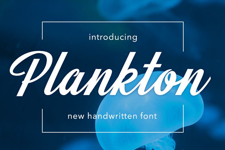 Plankton example image