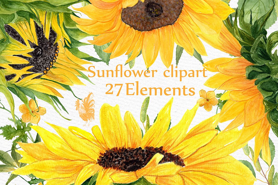 Free Free 120 Watercolor Sunflower Clipart Free SVG PNG EPS DXF File
