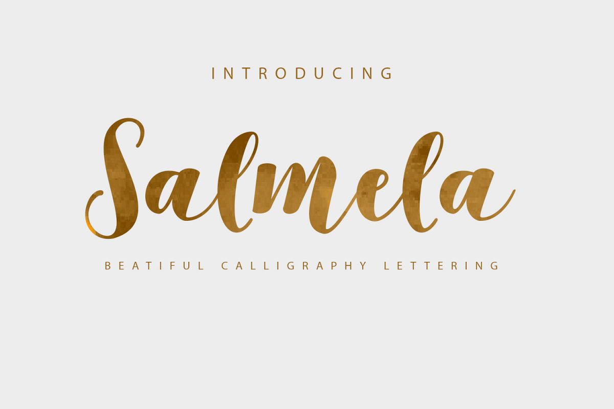 Salmela Script example image