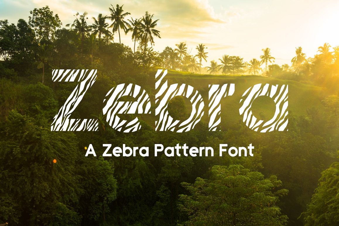 Zebra example image