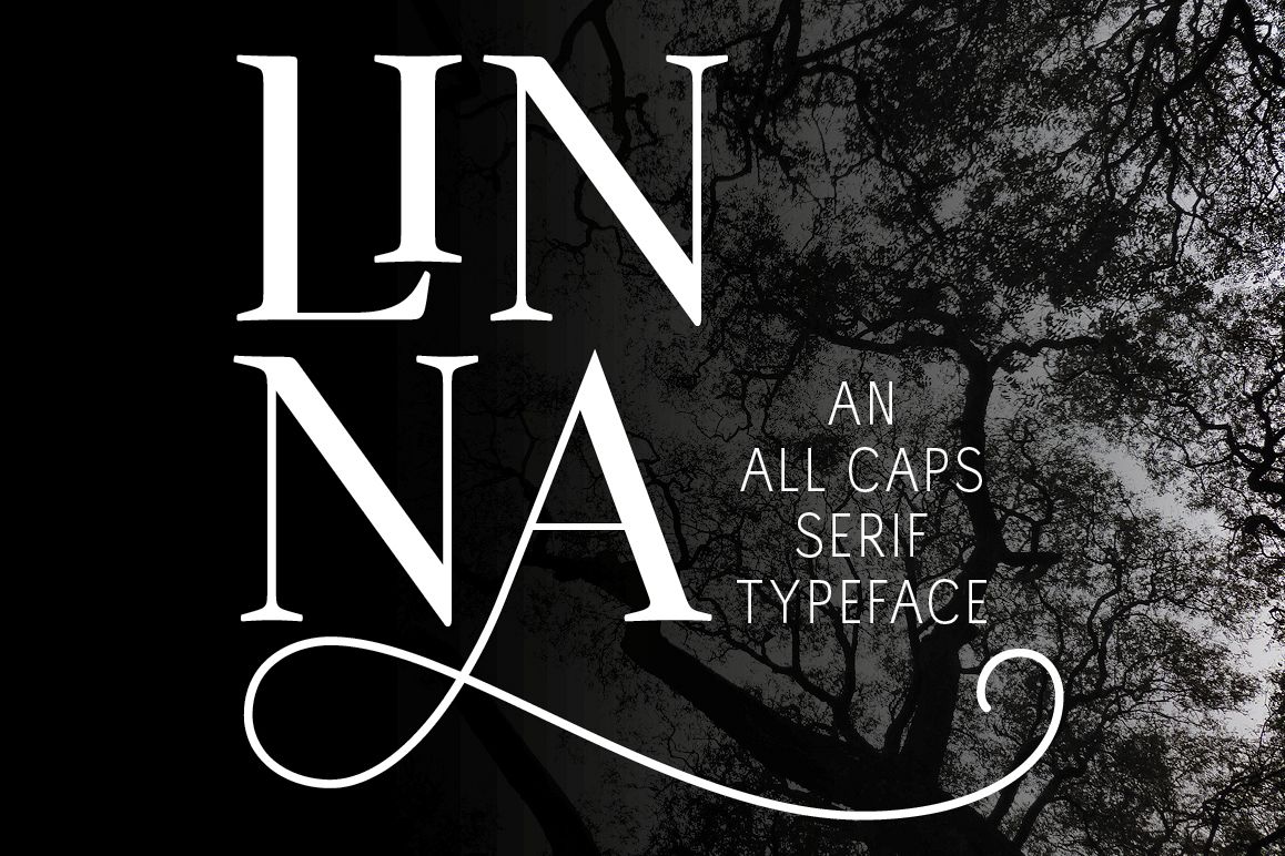 Linna example image