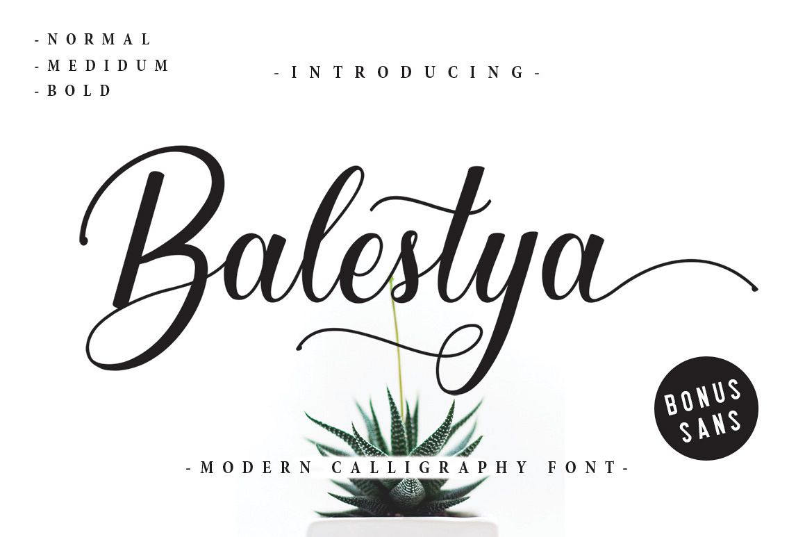 Balestya Script 40% OFF example image