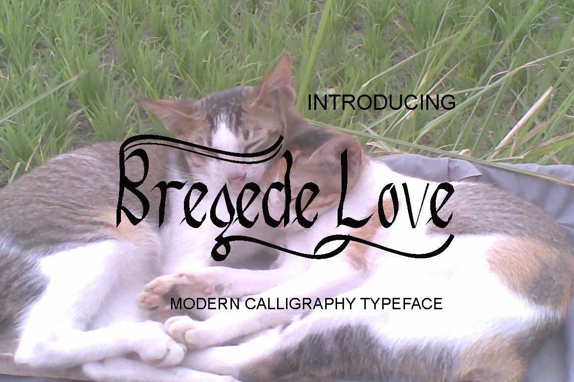 Bregede Love example image