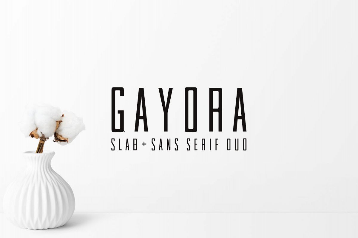 Gayora Slab Serif | Duo Font example image