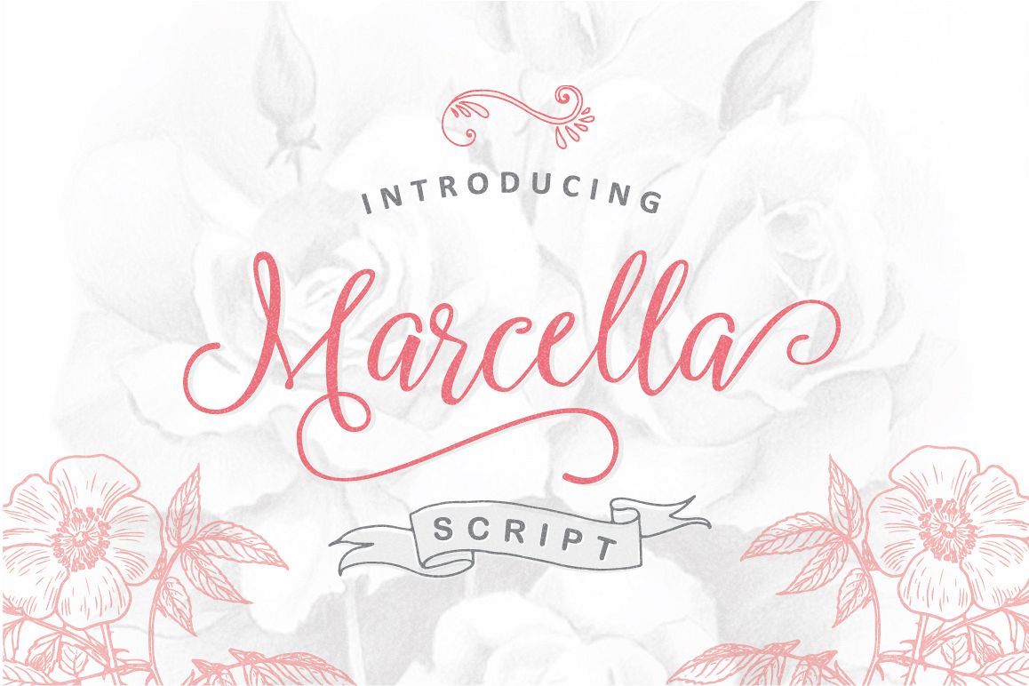 Marcella Script example image