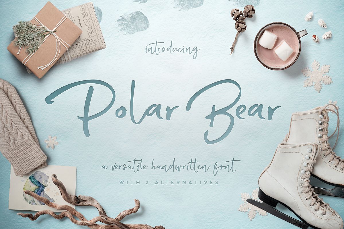 Polar Bear example image