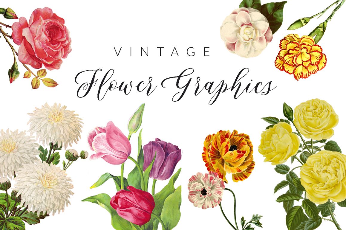 Vintage Flower Illustrations example image