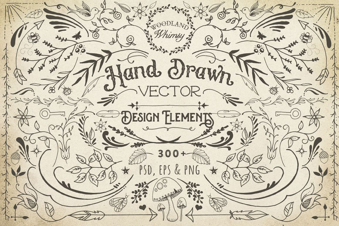 Hand Drawn Vector Design Elements example image