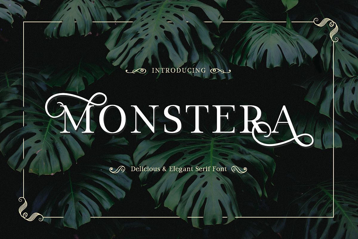 Monstera example image