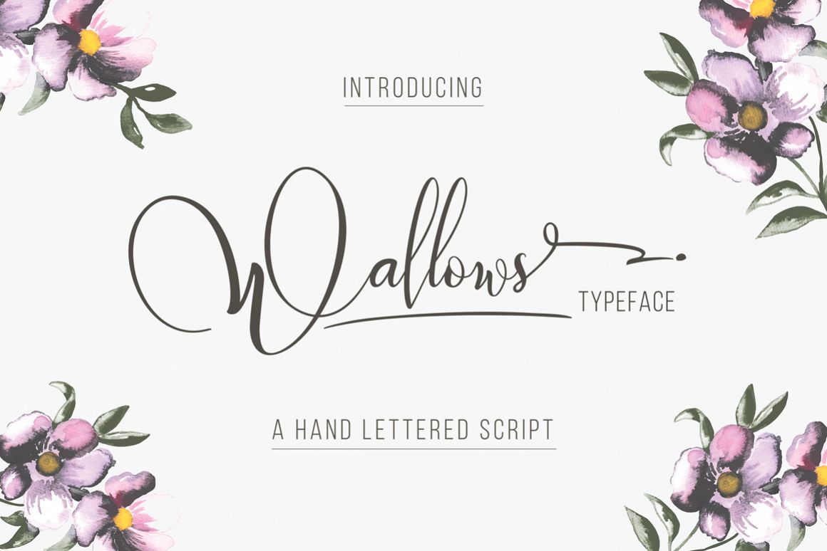 Wallows example image