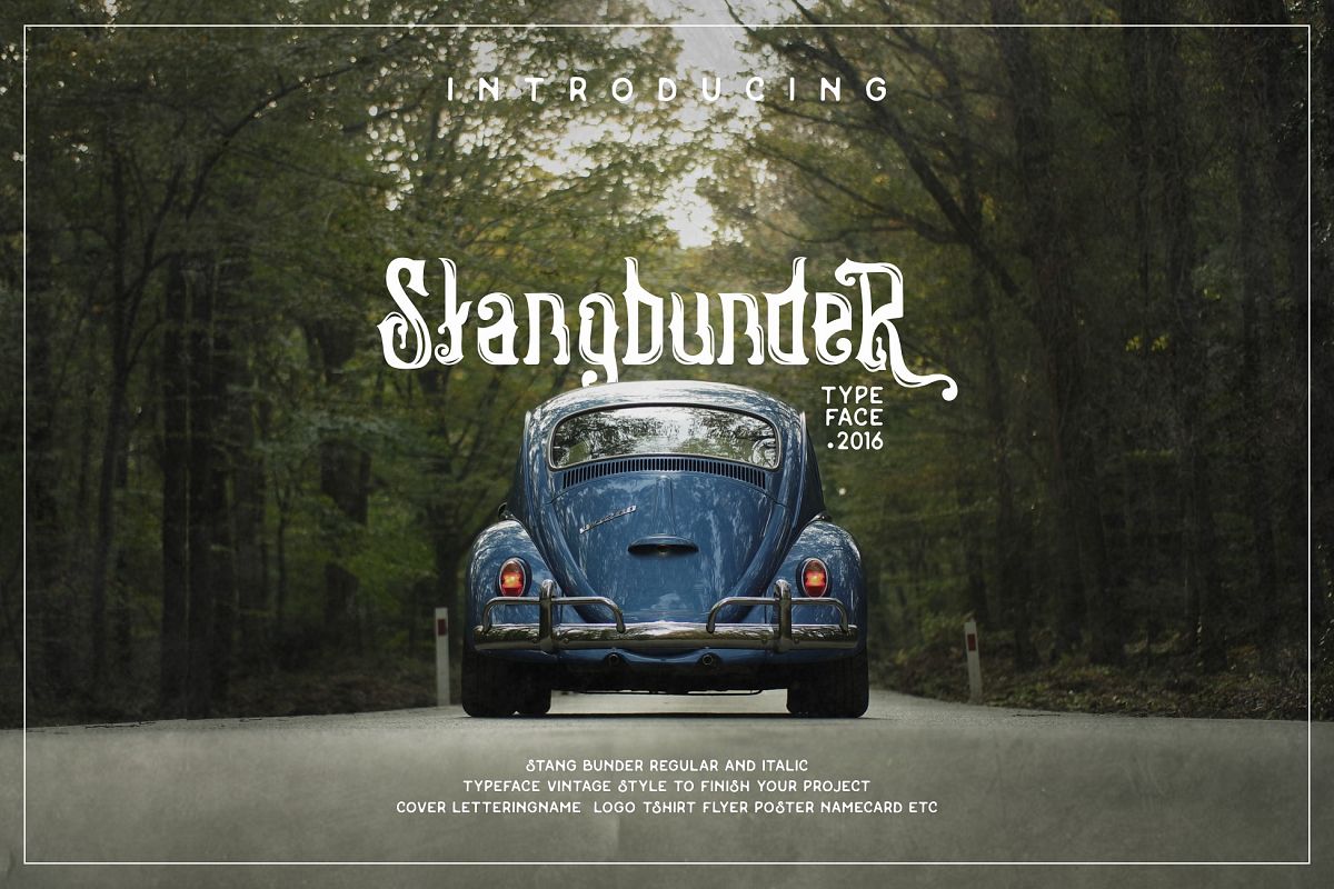 Stangbunder cover