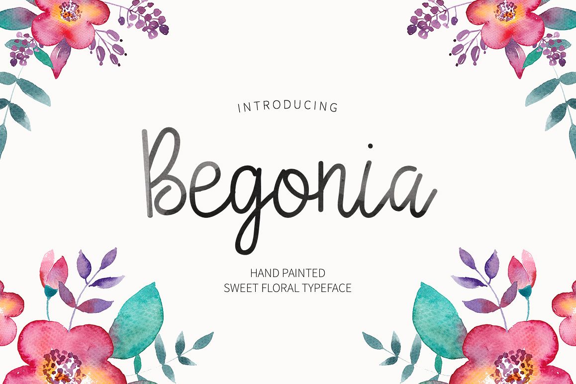 Begonia example image