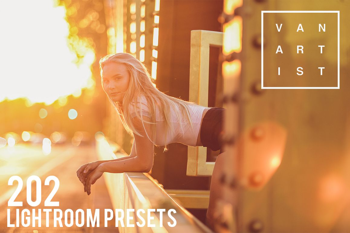 202 Vanartist Presets example image