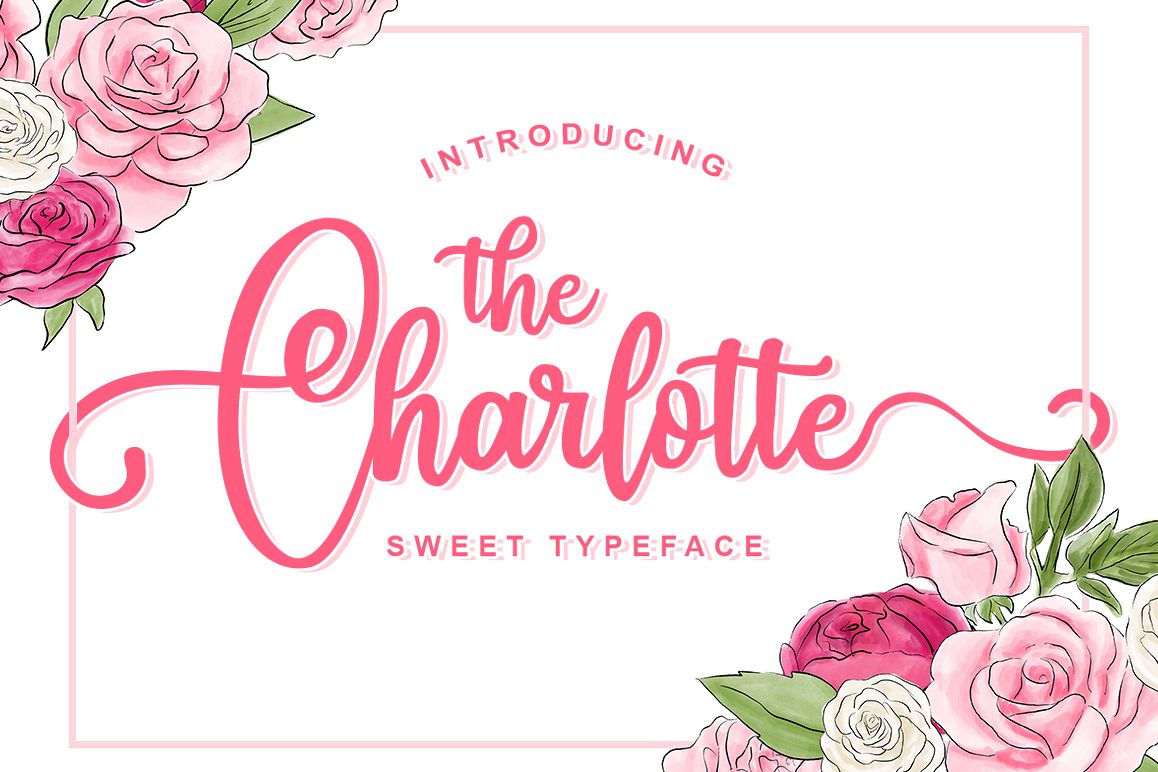 Charlotte example image