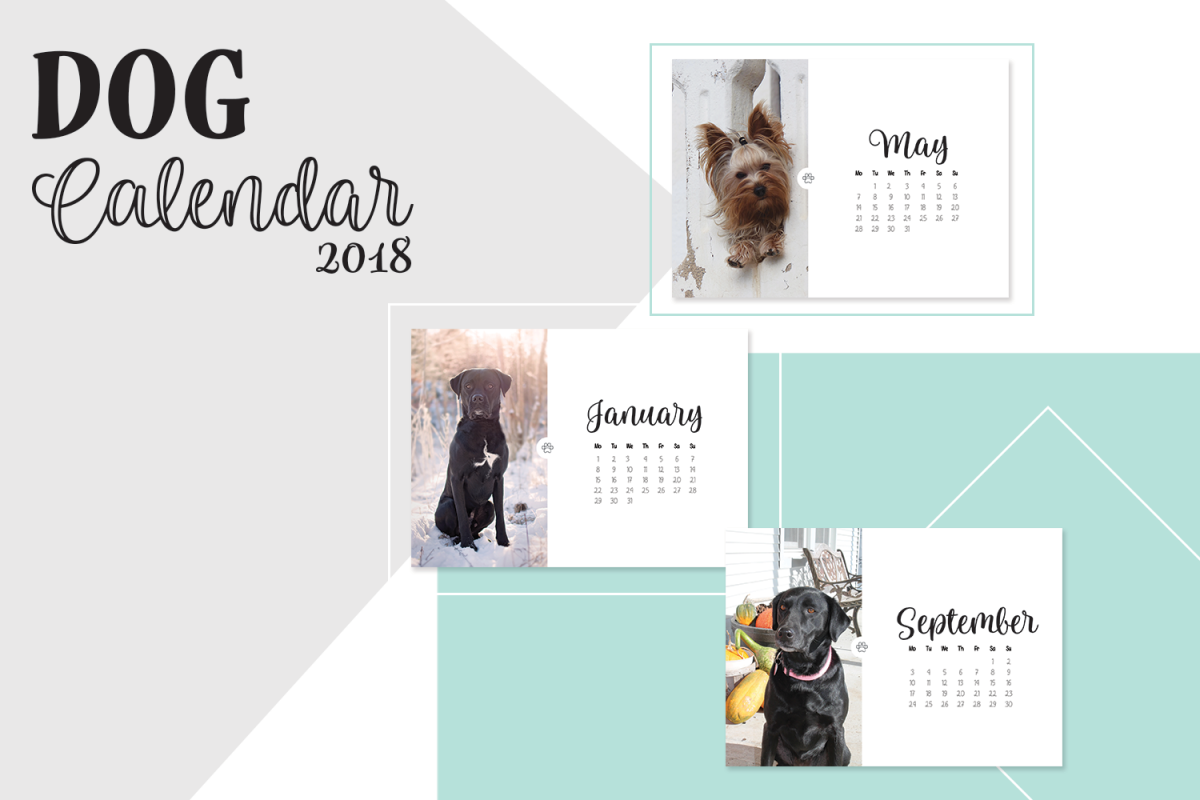 Dog Calendar 2018 example image
